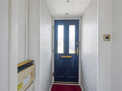 Picture 29